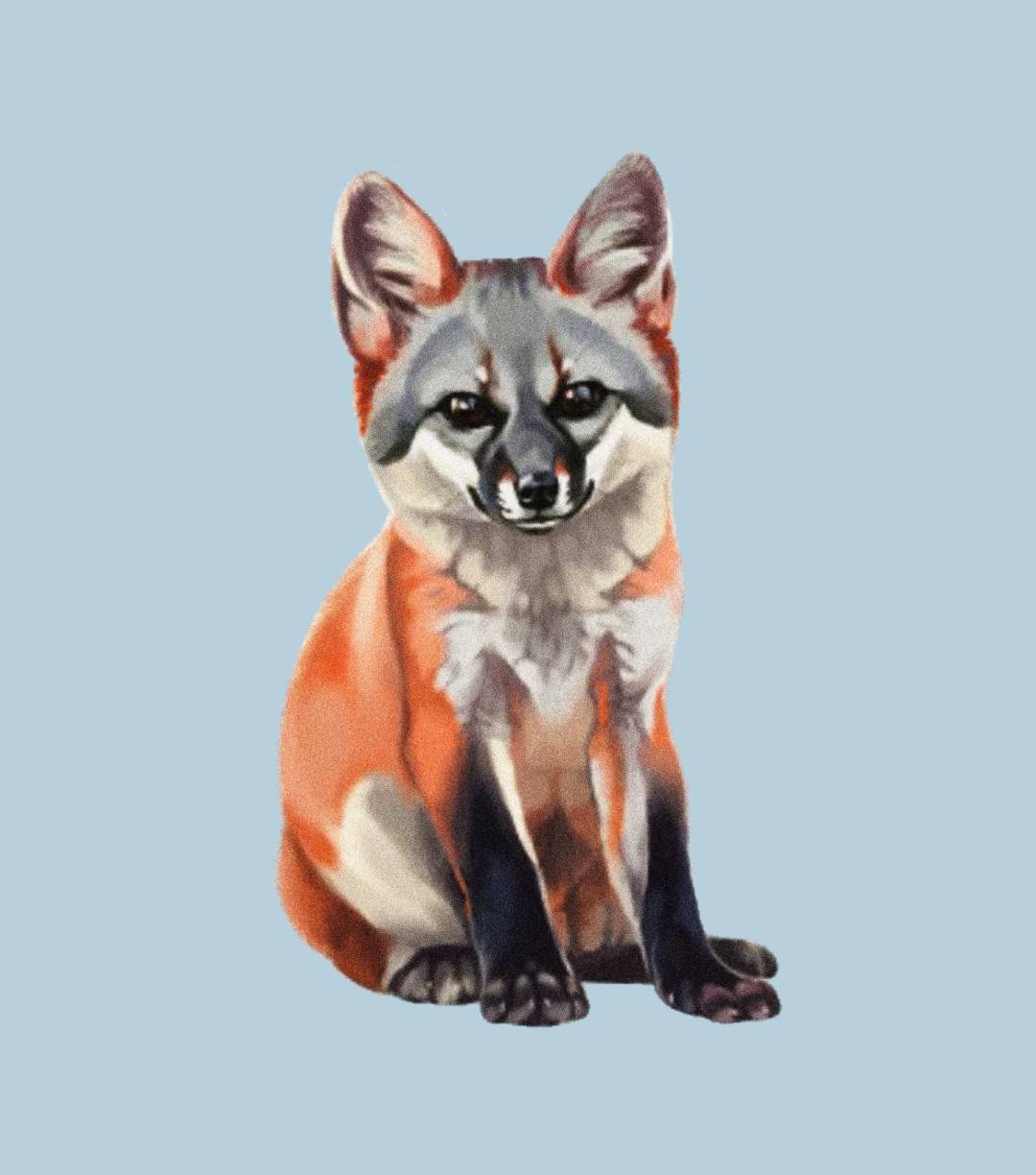 Grey Fox T-Shirt