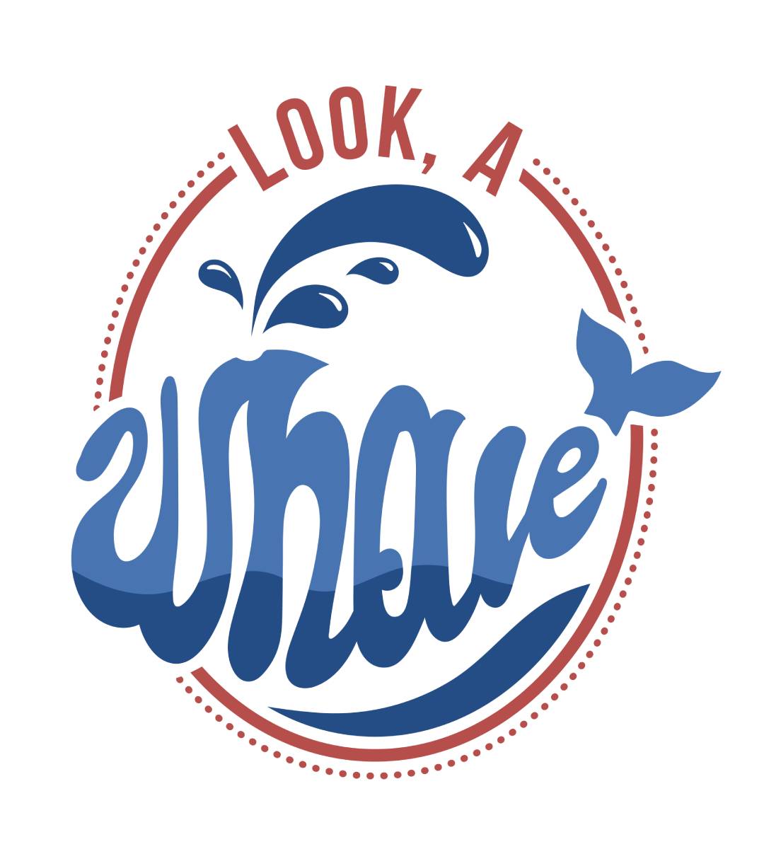 Look, a Whale T-Shirt